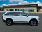2027 Hyundai PALISADE HYBRID Limited 7P