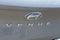 2026 Hyundai VENUE SE FWD