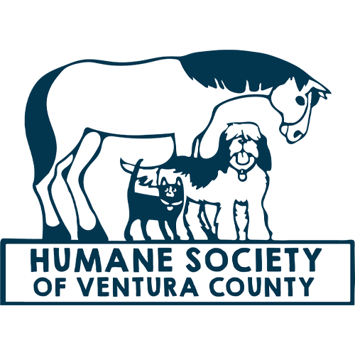 Alexander Hyundai of Oxnard in Oxnard CA