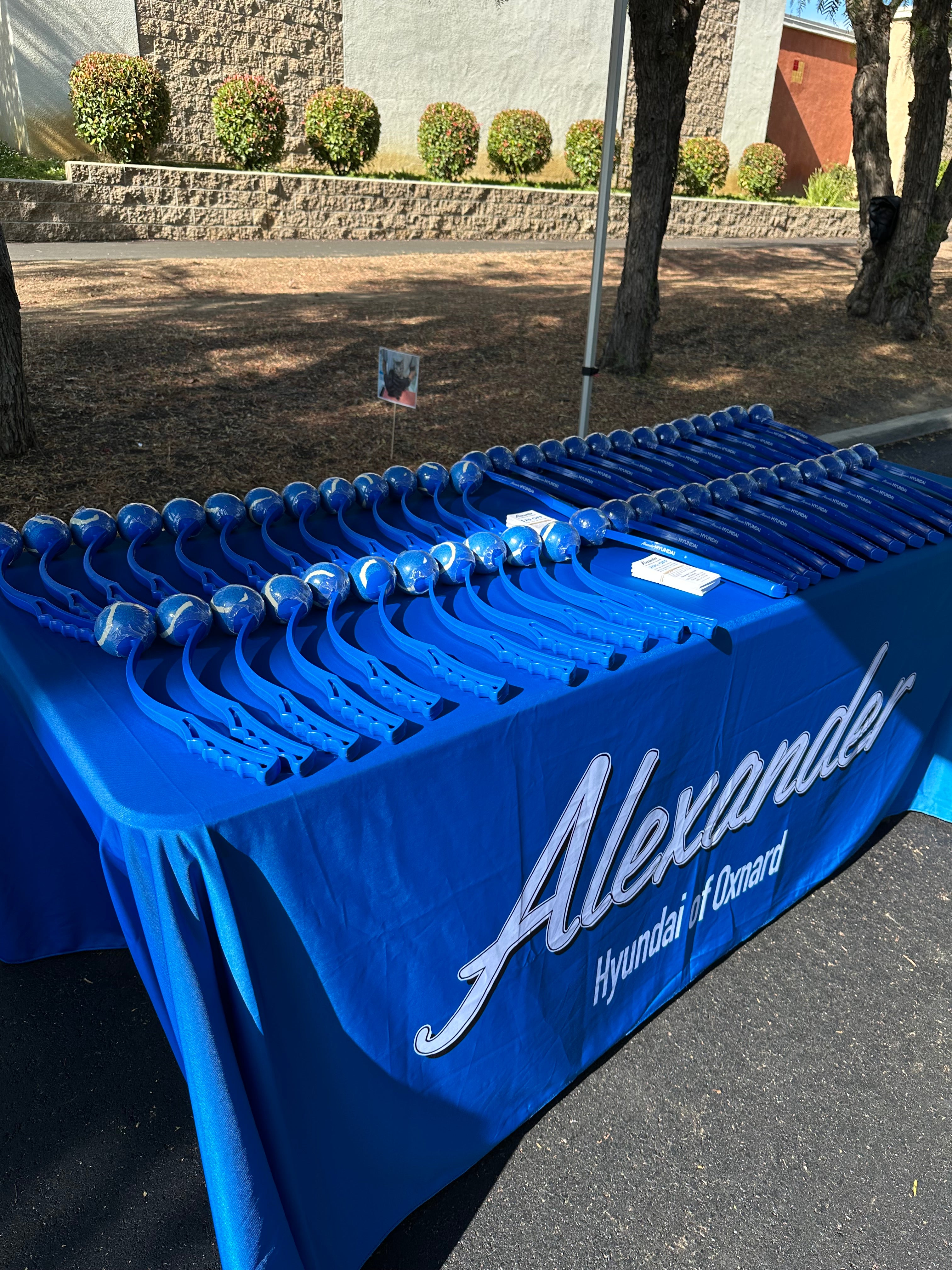 Alexander Hyundai of Oxnard in Oxnard CA