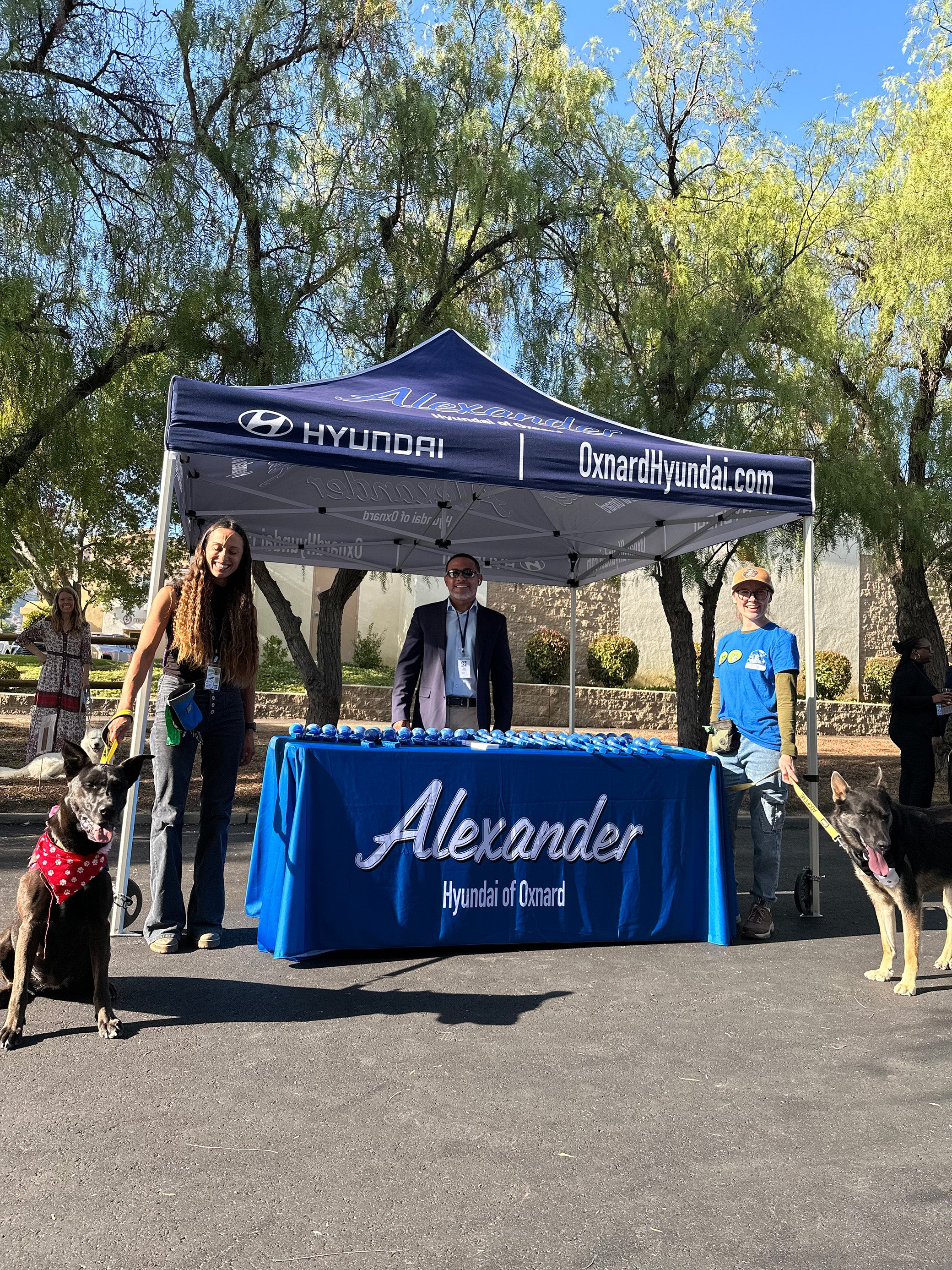 Alexander Hyundai of Oxnard in Oxnard CA