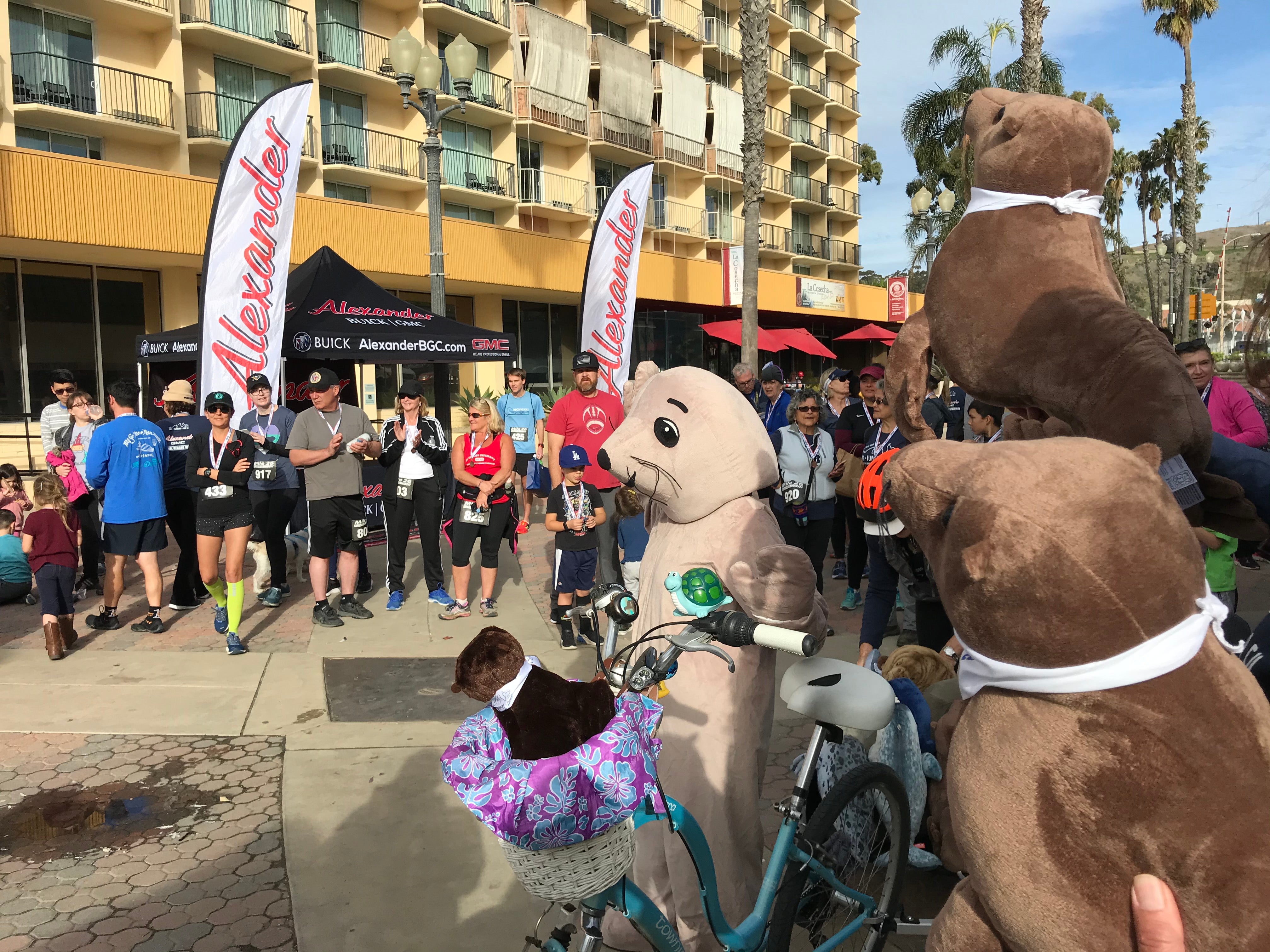 Alexander Hyundai of Oxnard in Oxnard CA