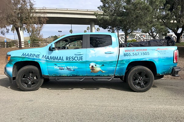 Marine_Mammal_rescue_Hyundai