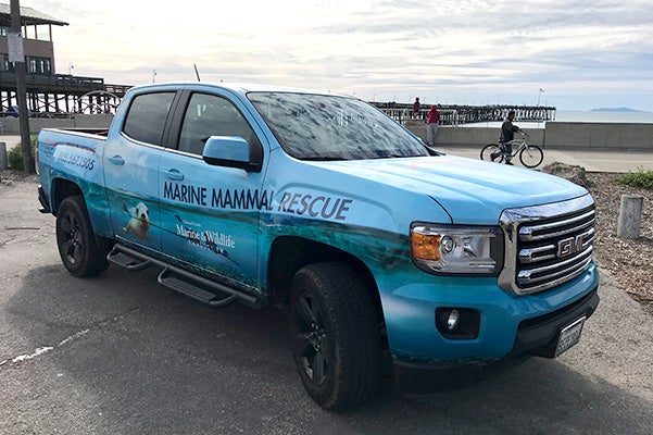 marine_mammal_rescue_Hyundai_left_view
